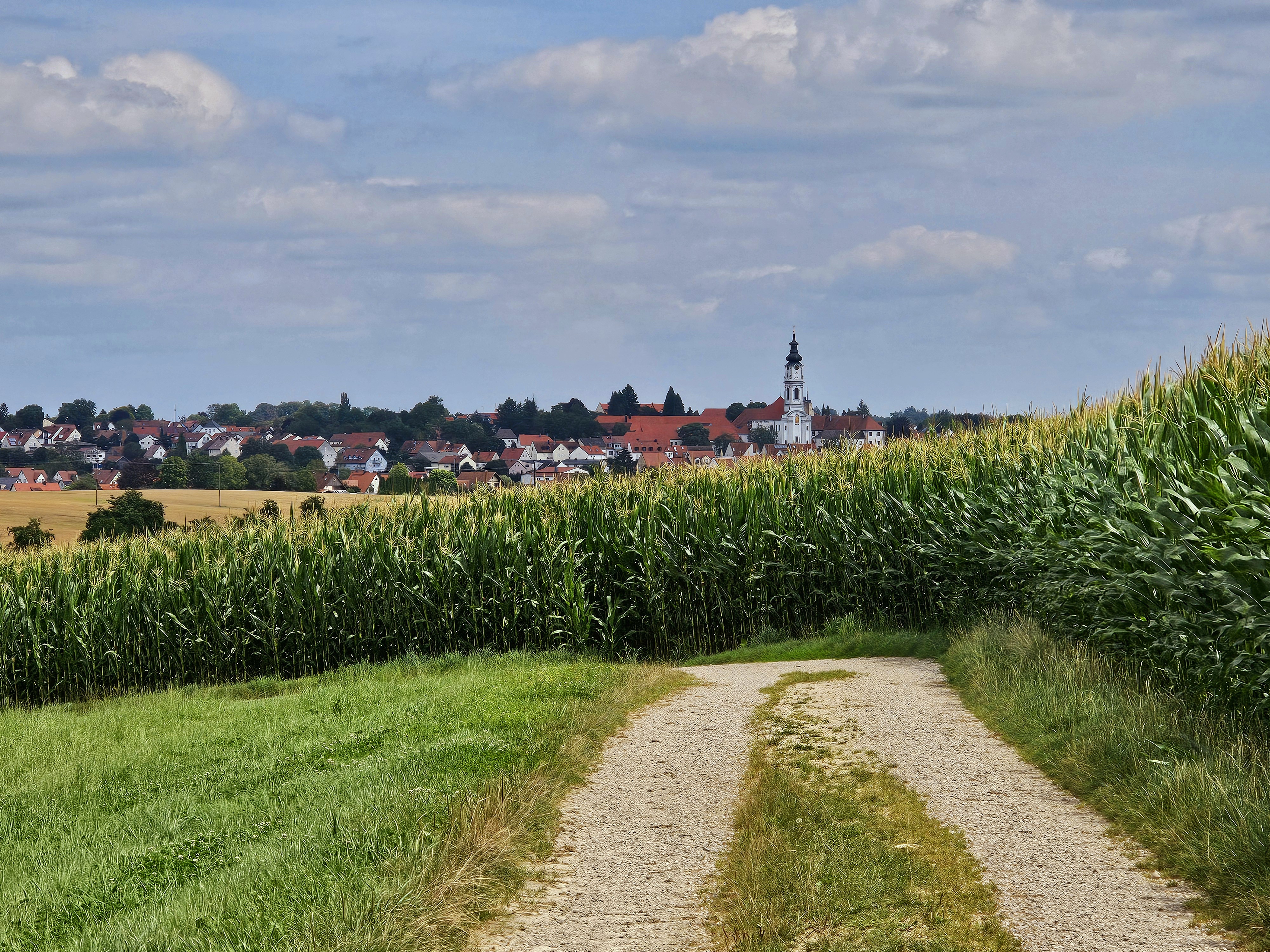 Weg nach Alto Leider haben wir keinen Alternativtext zu diesem Bild. Wir arbeiten daran und bitten um Ihr Verständnis.