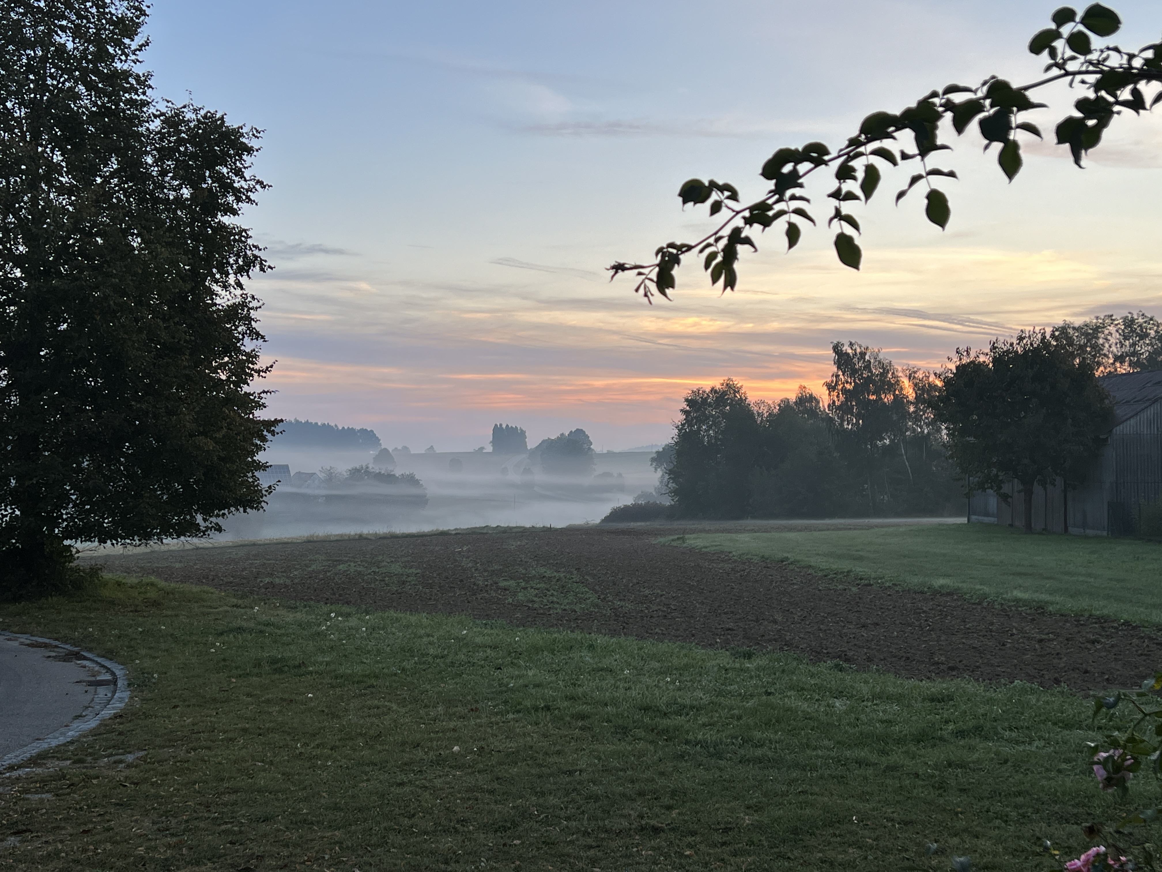 Leider haben wir keinen Alternativtext zu diesem Bild. Wir arbeiten daran und bitten um Ihr Verständnis.