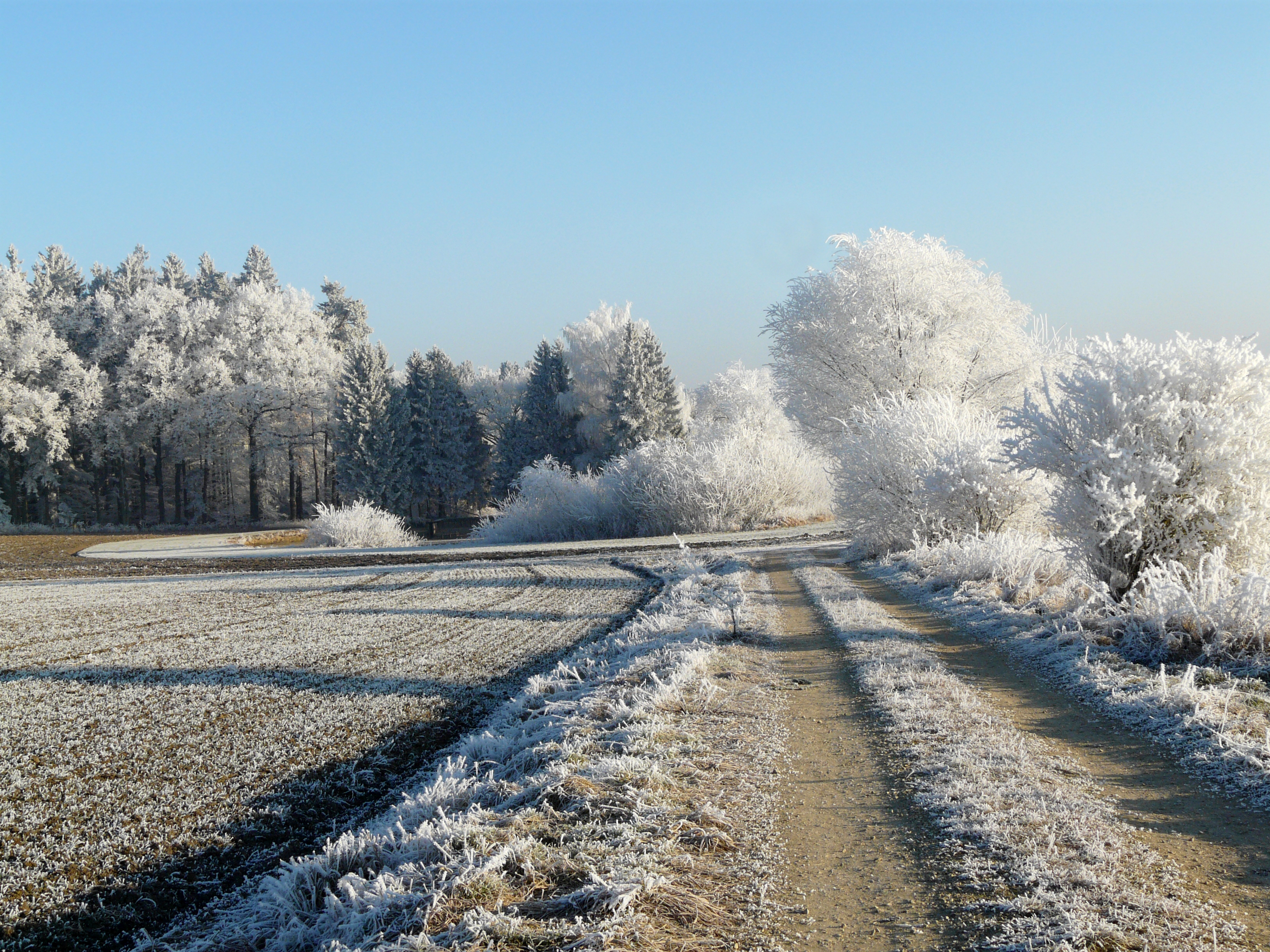 Bild vergrößern