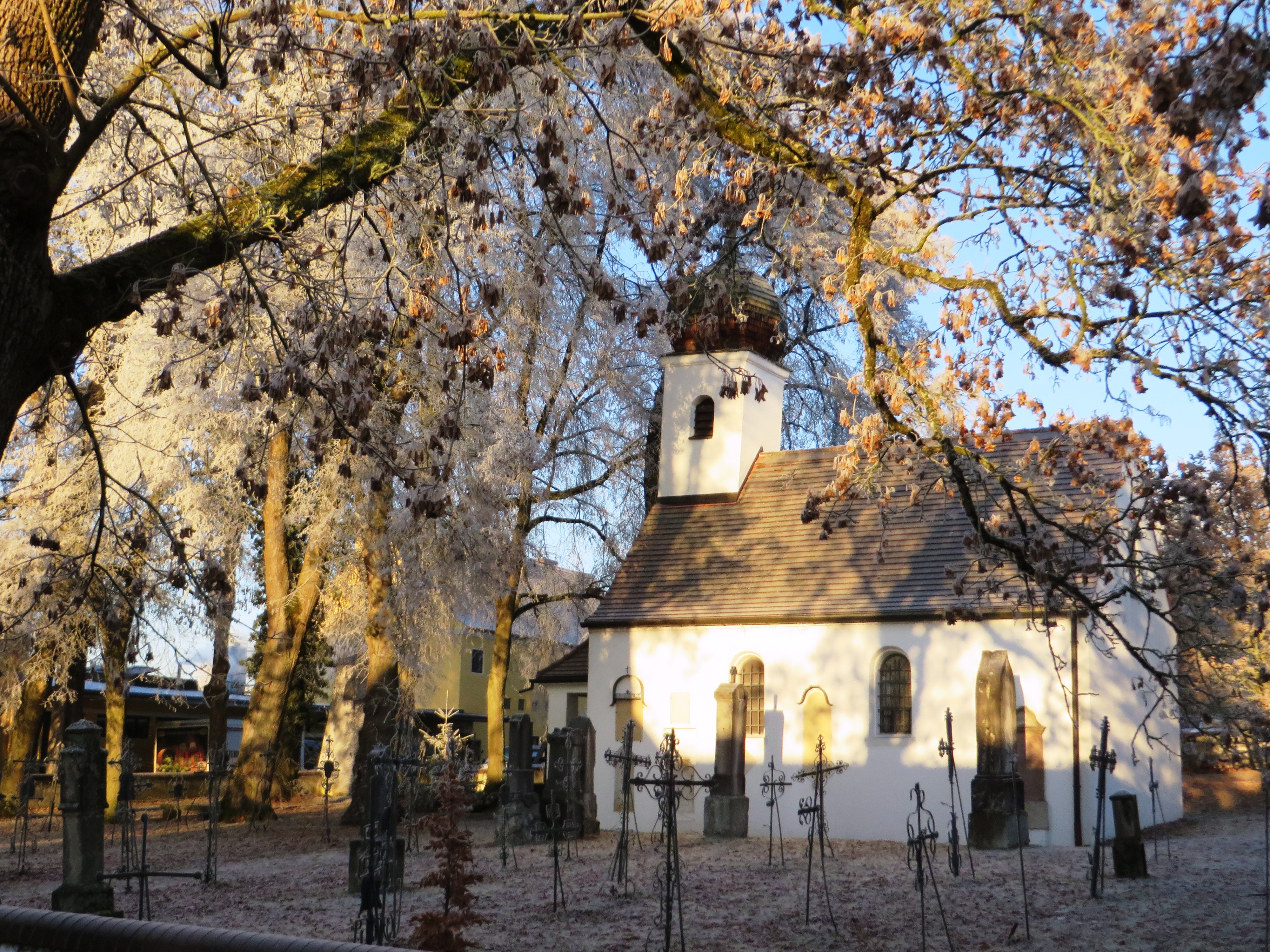 Bild vergrößern