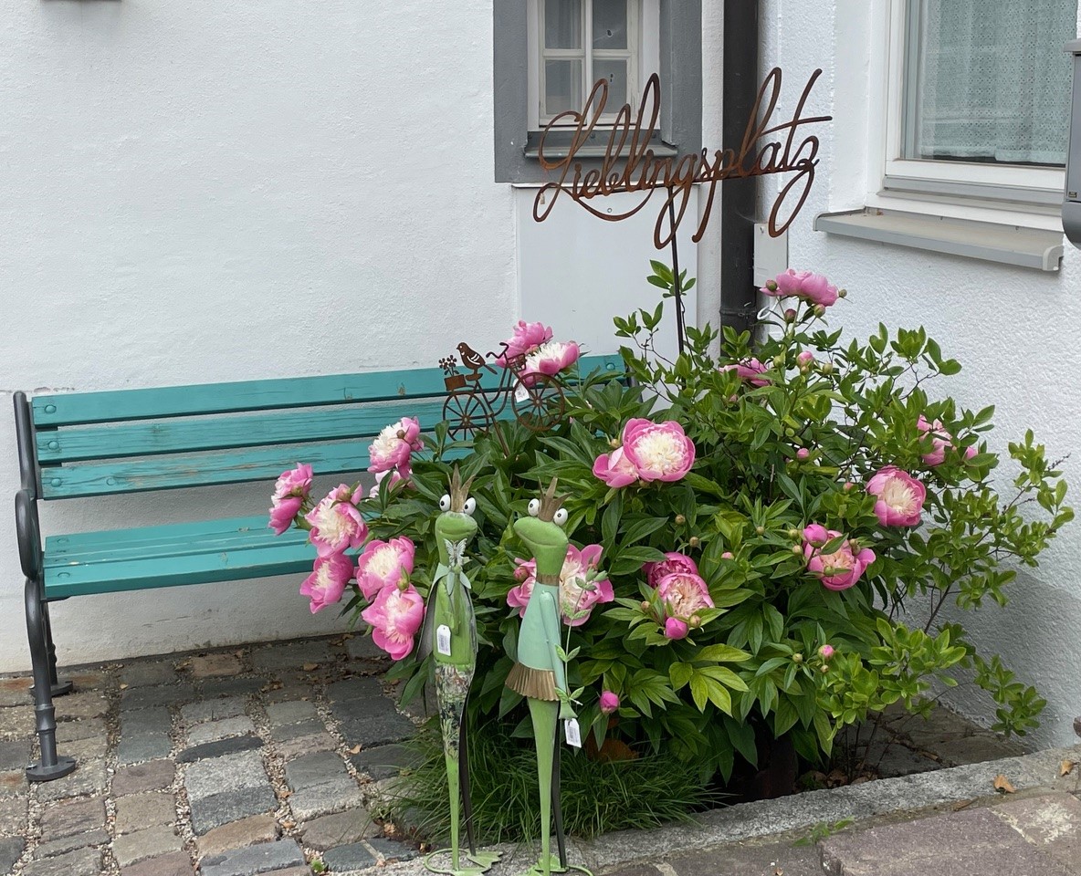 Sortiment Mai - 2.jpg Bild vergrößern
