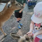 Kinderschutz an Wildtierpflege in Altenmunster.