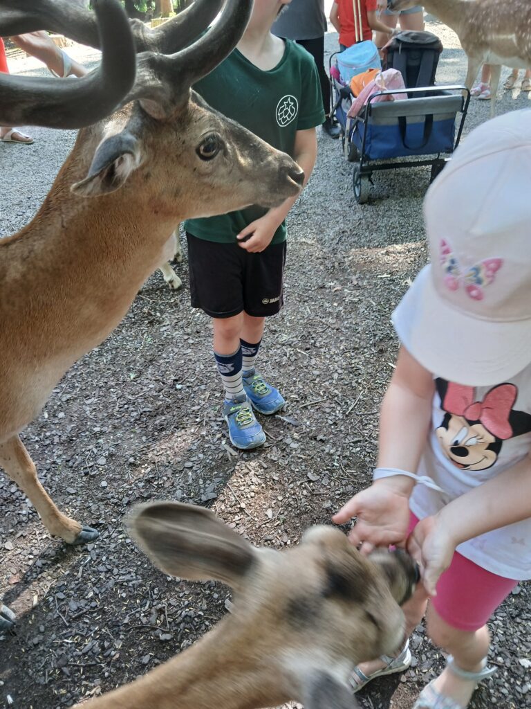 Kinderschutz an Wildtierpflege in Altenmunster.