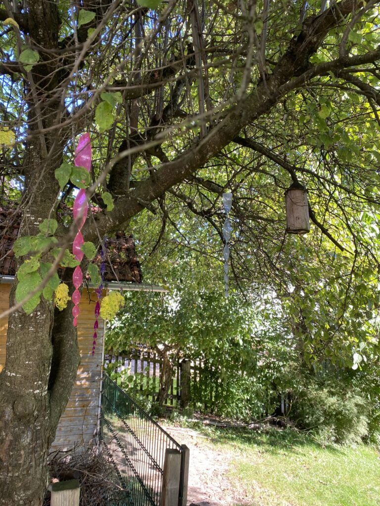 Bäume und Dekoration im Garten mit Baumkiste, Zaun und Sonnenlicht.