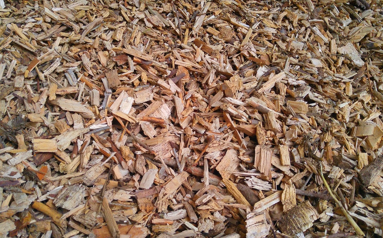 Leider haben wir keinen Titel zu diesem Bild. Wir arbeiten daran und bitten um Ihr Verständnis. Pflastermulch aus abgebrochenem Holz.