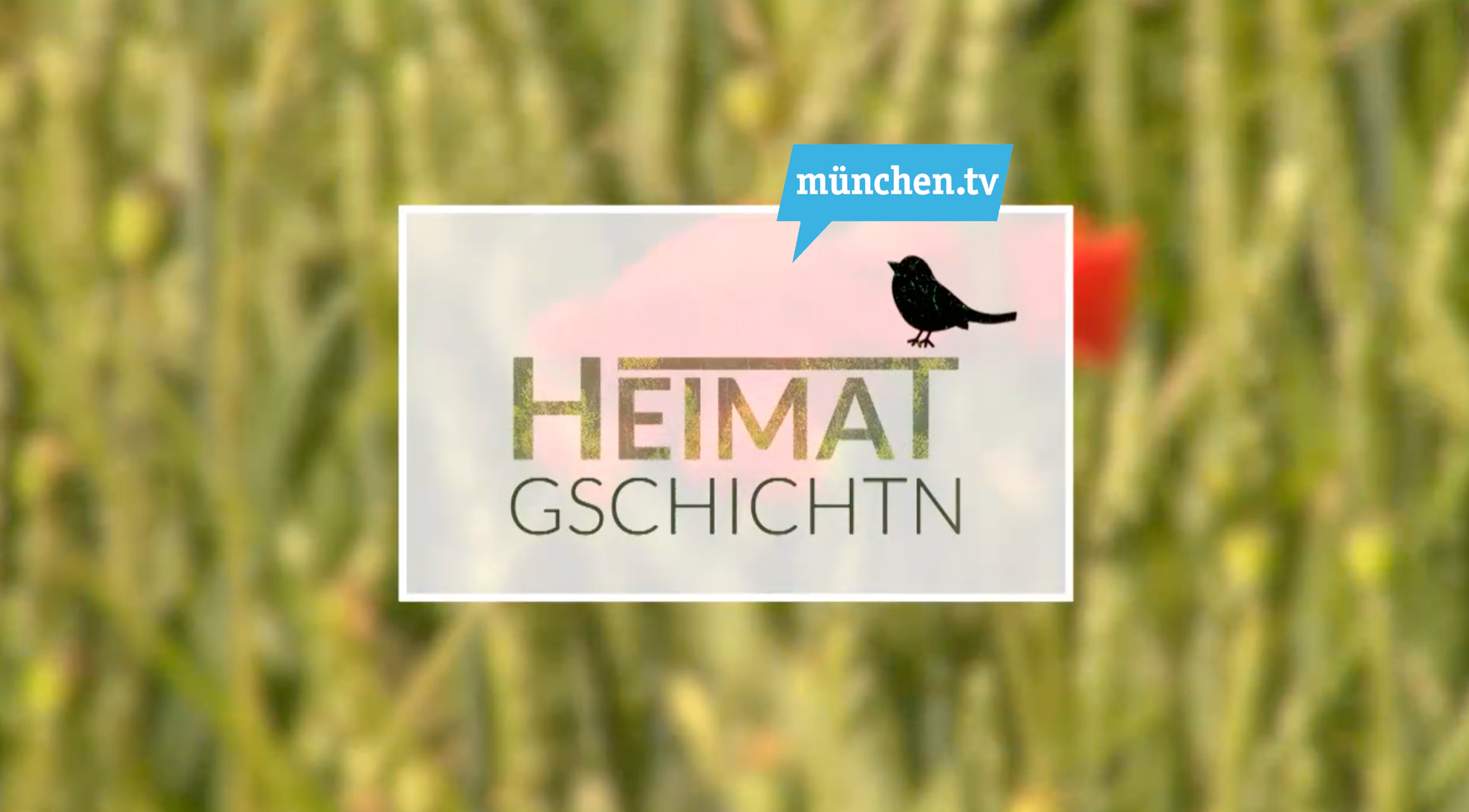München.tv: Heimat-Geschichten, Fokus auf Altomünster.