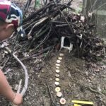 Kind bei Waldwiese, bastelt mit Holz und Steinen.
