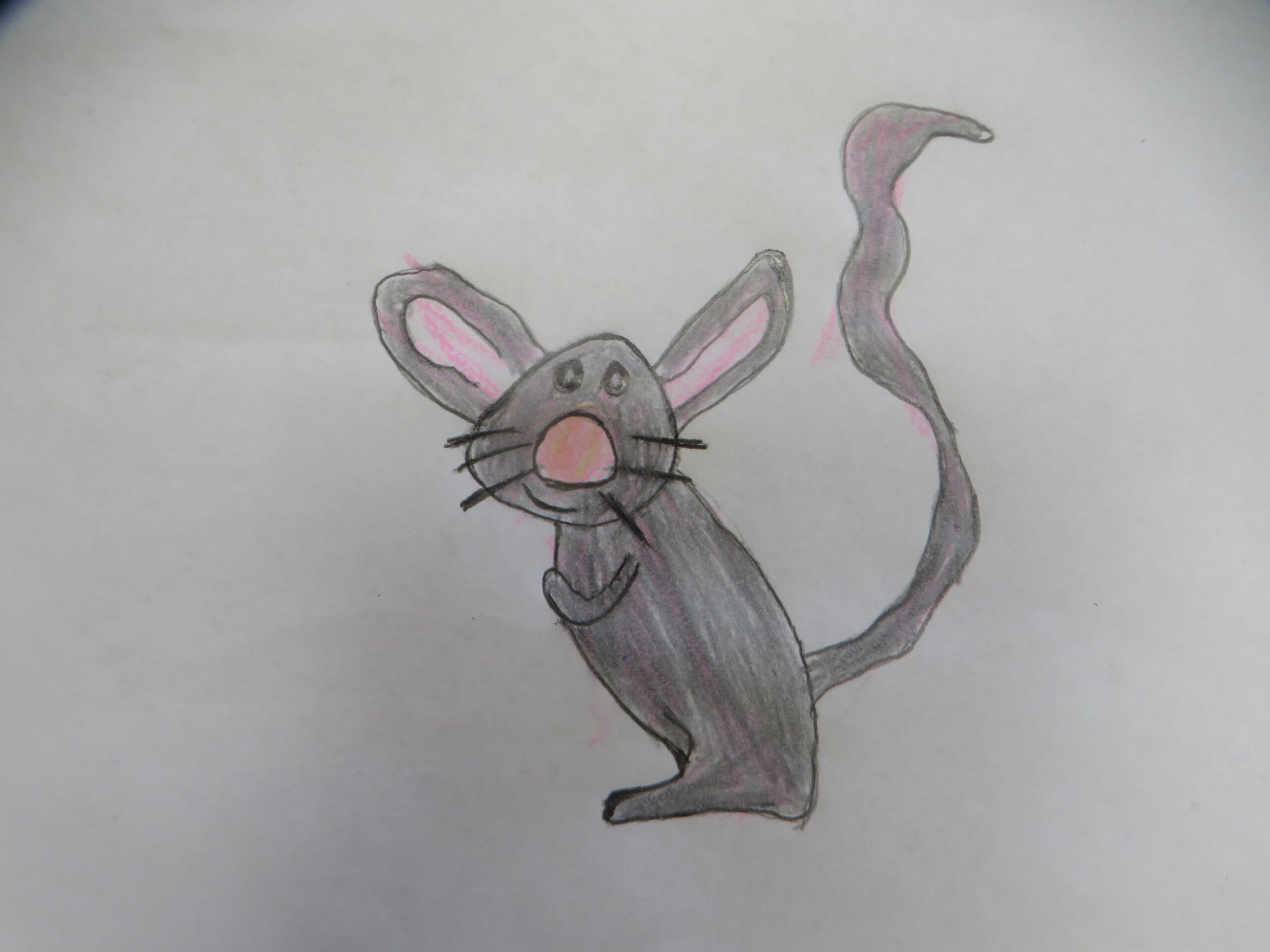 Gruppe Maus Maus mit grauem Körper, rosa Innenflecken, schwarzer Schnauz, langem Schwanz und Hinterbein.