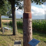 Holzstein mit Sitz und Info-Schild im Gras.