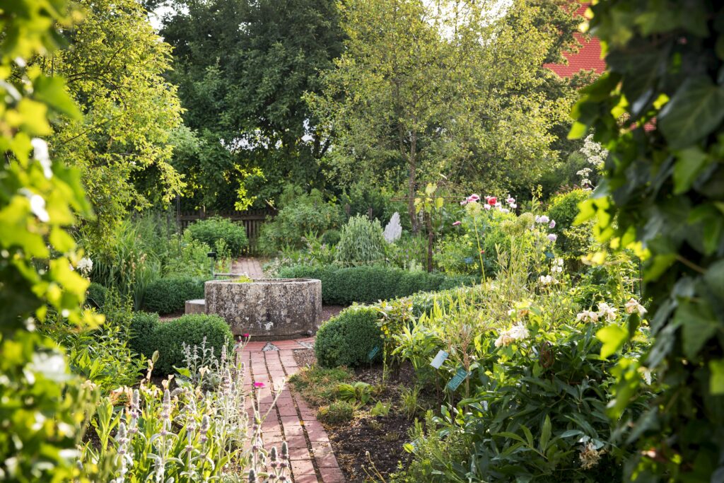 Garten mit Weg, Steinbehälter, Pflanzen und Bäumen.