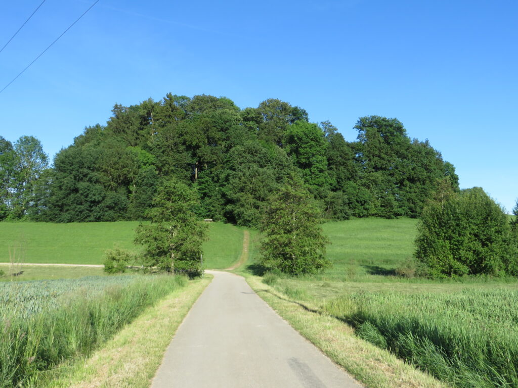 Birchweg in Altomünster, lichter Weg durch grüne Landschaft.