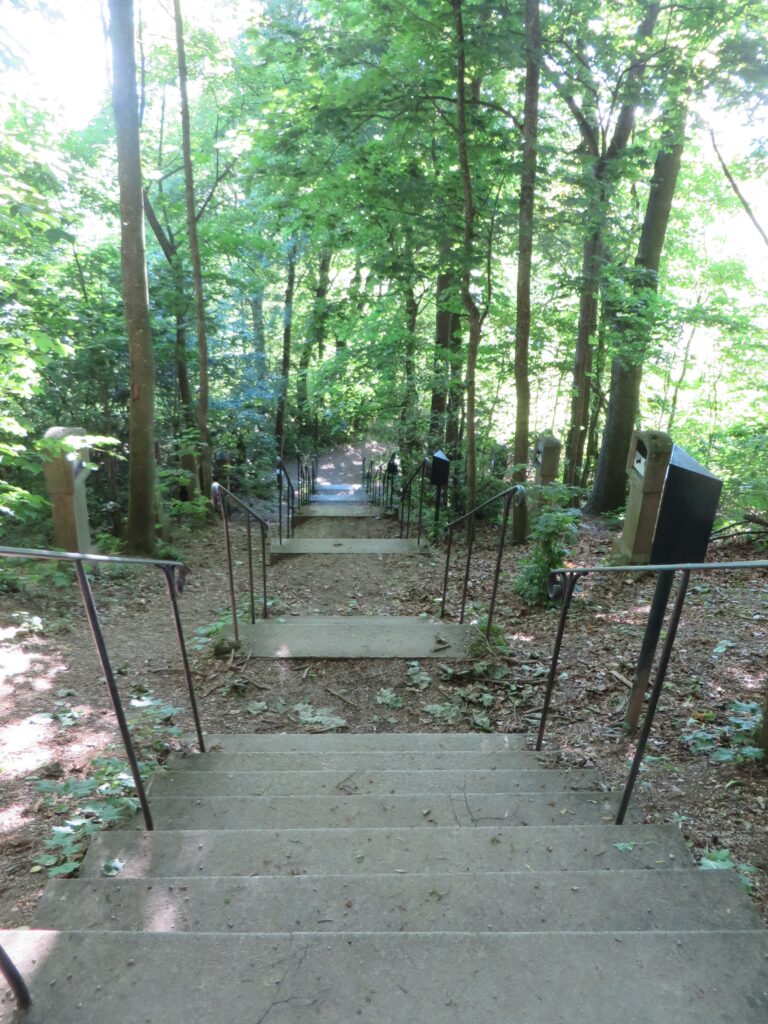 Blick auf die Stufen des Waldweges in Altomünster.