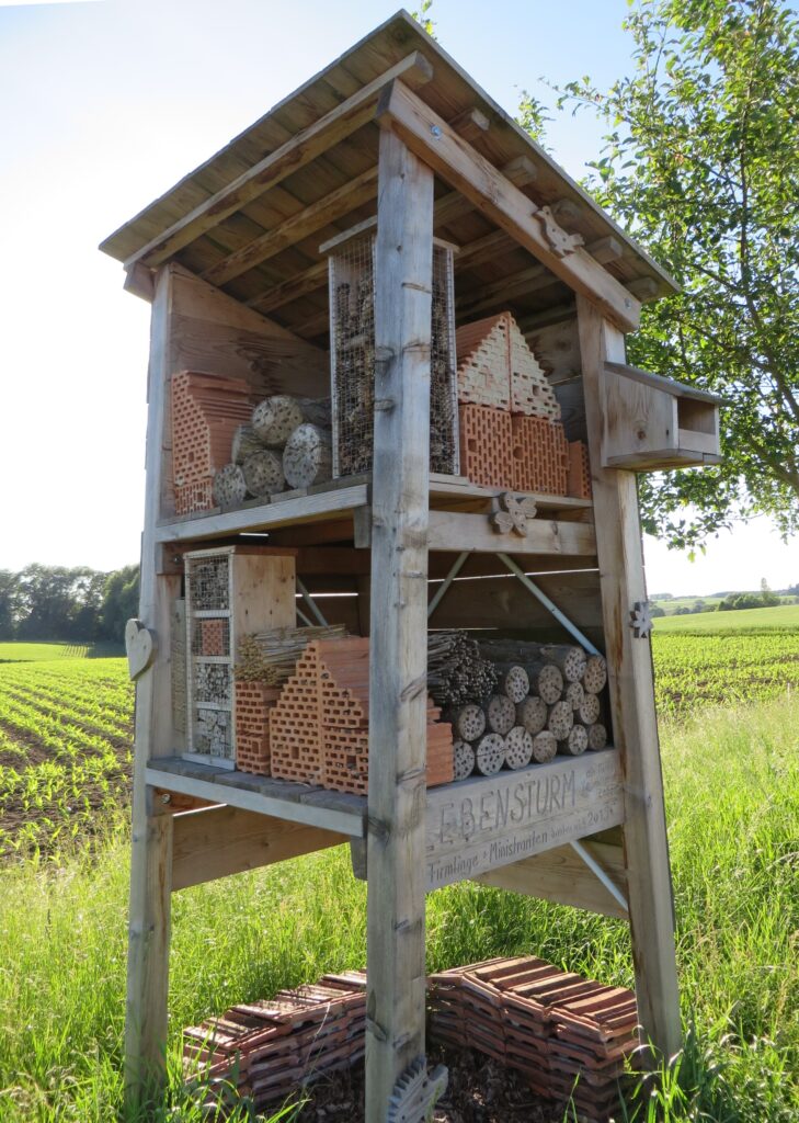 Stauden für Wälder in Altomünster