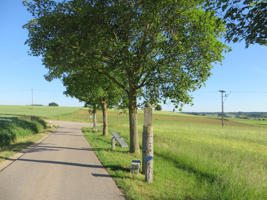 Landwirtschaftsstraße, Marktplatz mit Pflanzen und Straßenkultur im Marktfeld.