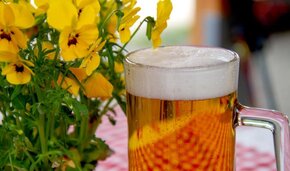 Bier in Glas mit gelben Blumen auf Tisch.