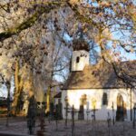weißes Kirchengebäude im Friedhof mit Frost auf den Bäumen und Tannen im Winter.