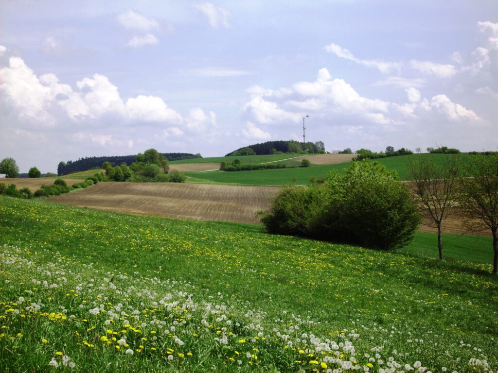 Grüne Wiesen mit blühenden Feldern und Wolken am Himmel.