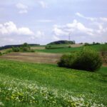 Grüne Wiesen mit blühenden Feldern und Wolken am Himmel.