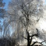 Eis- und Schneebedeckte Weiden im Tal von Altomünster.
