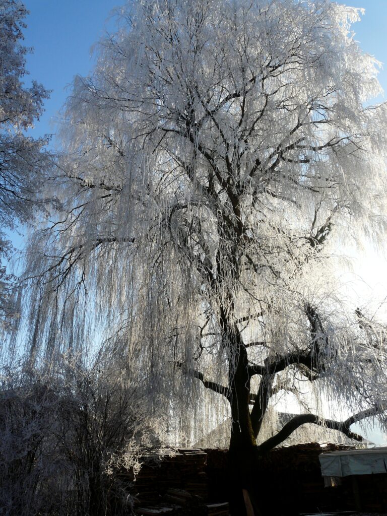 Eis- und Schneebedeckte Weiden im Tal von Altomünster.