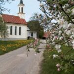 Weg durch die ländliche Gegend, Bäume in Blüte, Kirche mit Turm, Felder und Wiesen.
