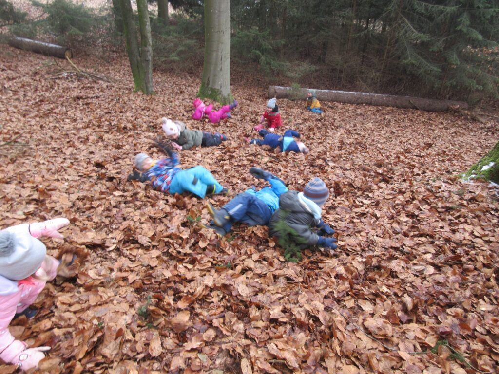 Ein Kinderspielplatz im Wald mit Laub.