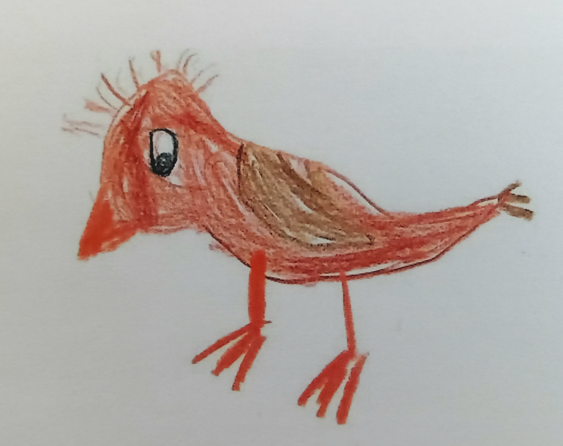 Spatz Sina.jpg Kinderzeichnung eines roten Vogels mit Federbusch und Augen.