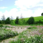 Wiese mit blühenden Blumen, Gras und Steinkreuz im Hintergrund.