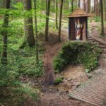 Schöner Waldweg mit Pilgerstätte in Altomünster.