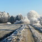 Schneebedeckte Felder und Straße im Winter.