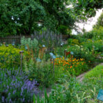 Garten mit verschiedenen Pflanzen und Blumen, die auf Pfähle gestellt sind.