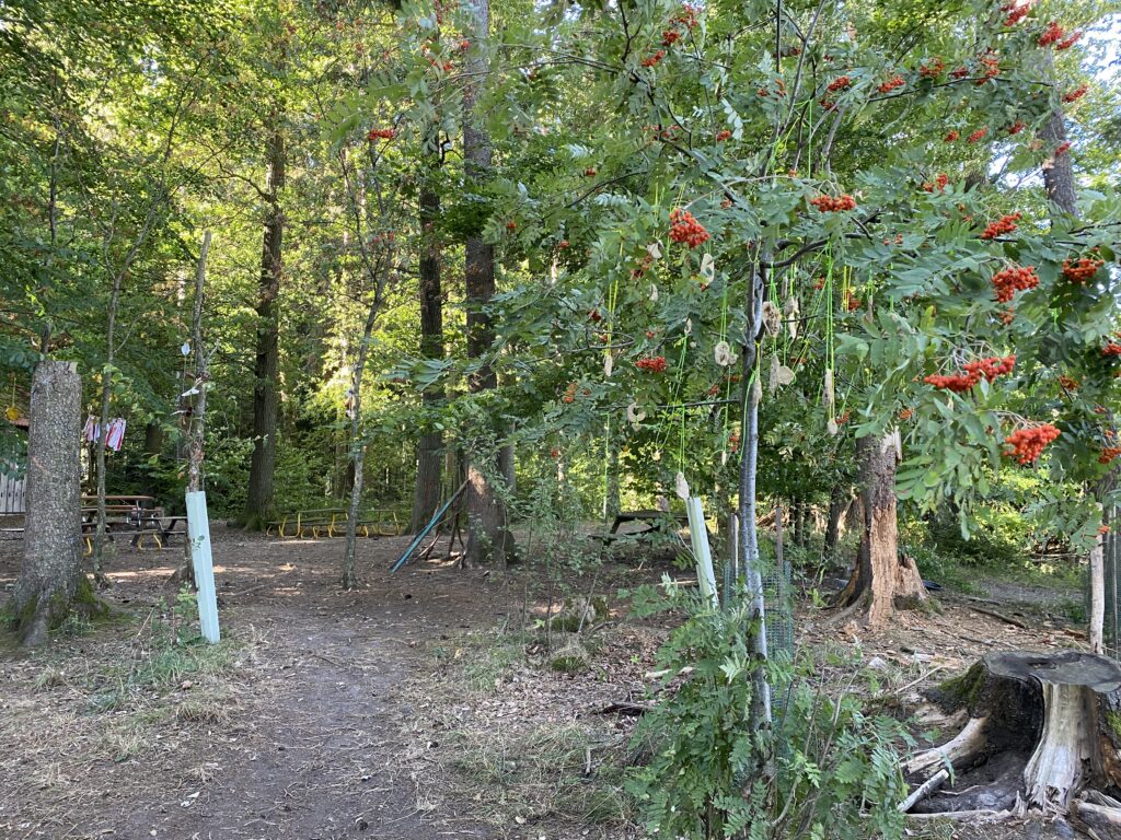Bewässerungssystem für den Waldweg im Marktplatz.