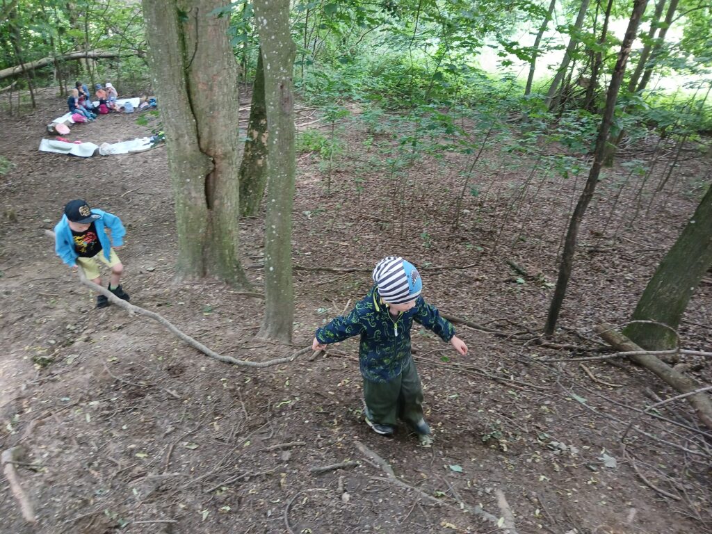 Schüler in Wald, zwei Kinder ziehen einen Ast über den Weg.