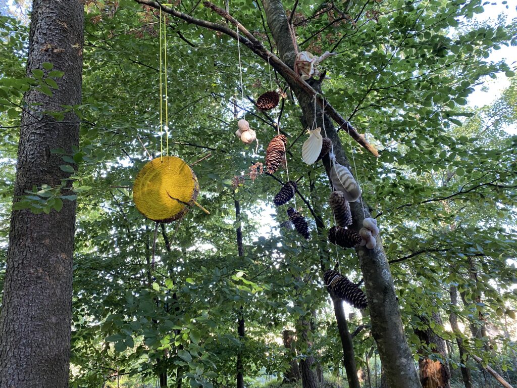 Bewegliche Naturdekoration an Baumstämmen und Ästen.