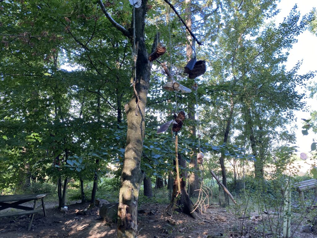 Bäume mit Klettergeräten