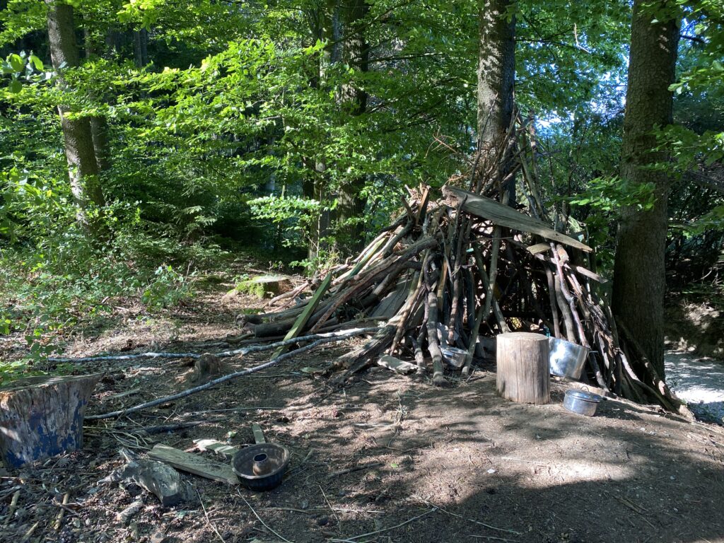 Hütte im Wald mit Brennholz und Kochutensilien.