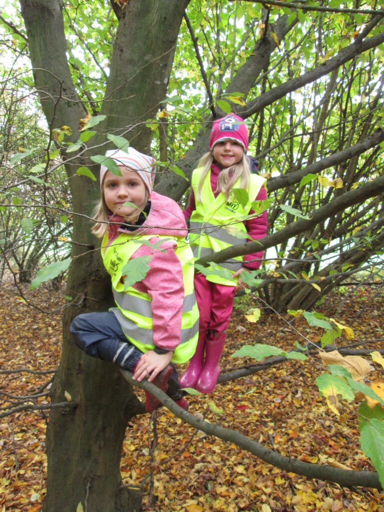 Zwei Kinder in Sicherheitswesten im Baum.