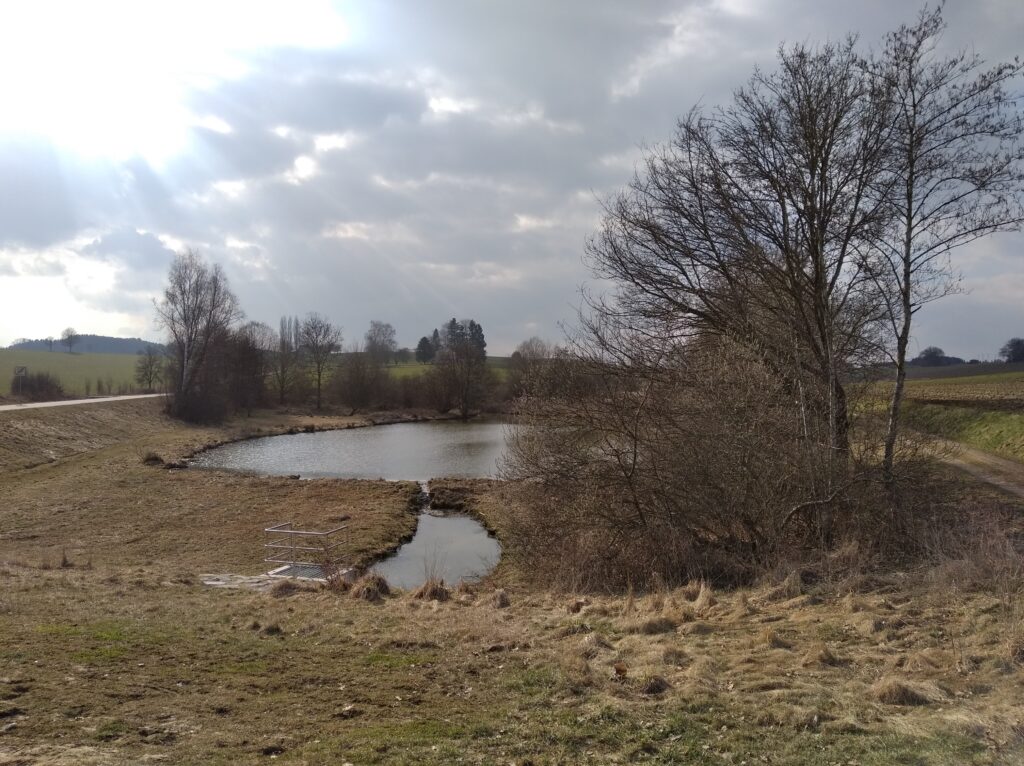 Wasserfläche mit Pfaden und Bäumen im ländlichen Bereich.
