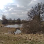 Wasserfläche mit Pfaden und Bäumen im ländlichen Bereich.