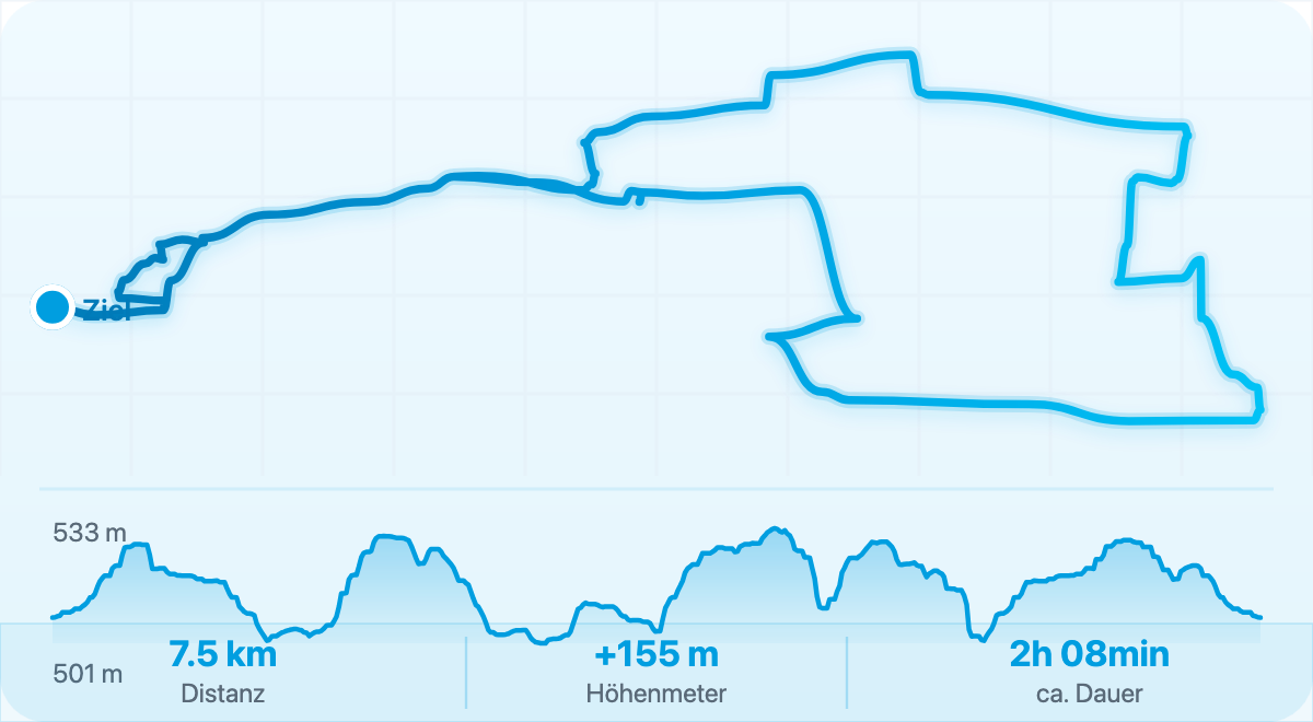 3 Lustratio cum Birgitta