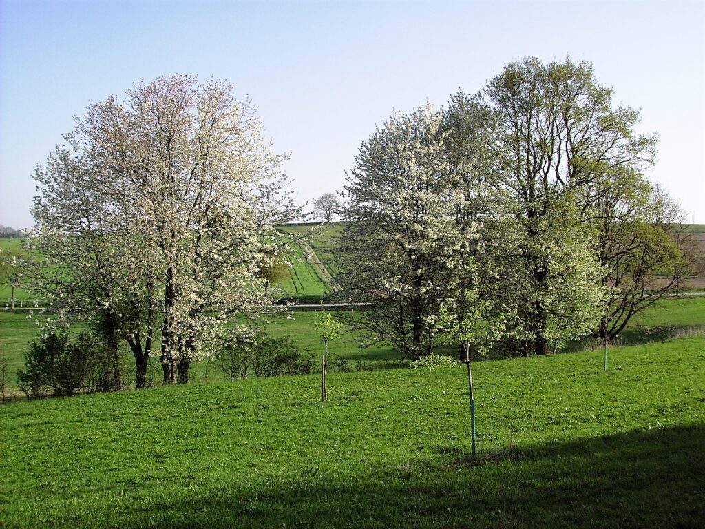 Frühling in Altomünster