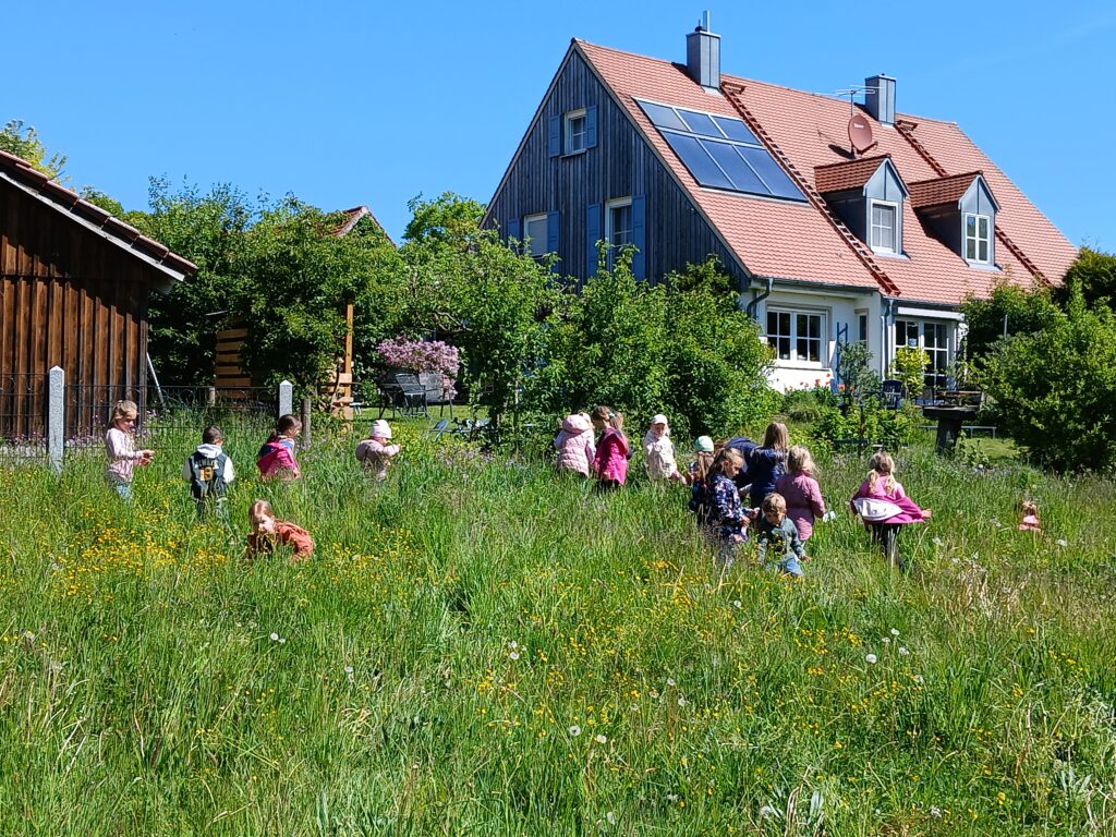 Kinder spielen auf einer Wiese