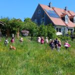 Kinder spielen auf einer Wiese